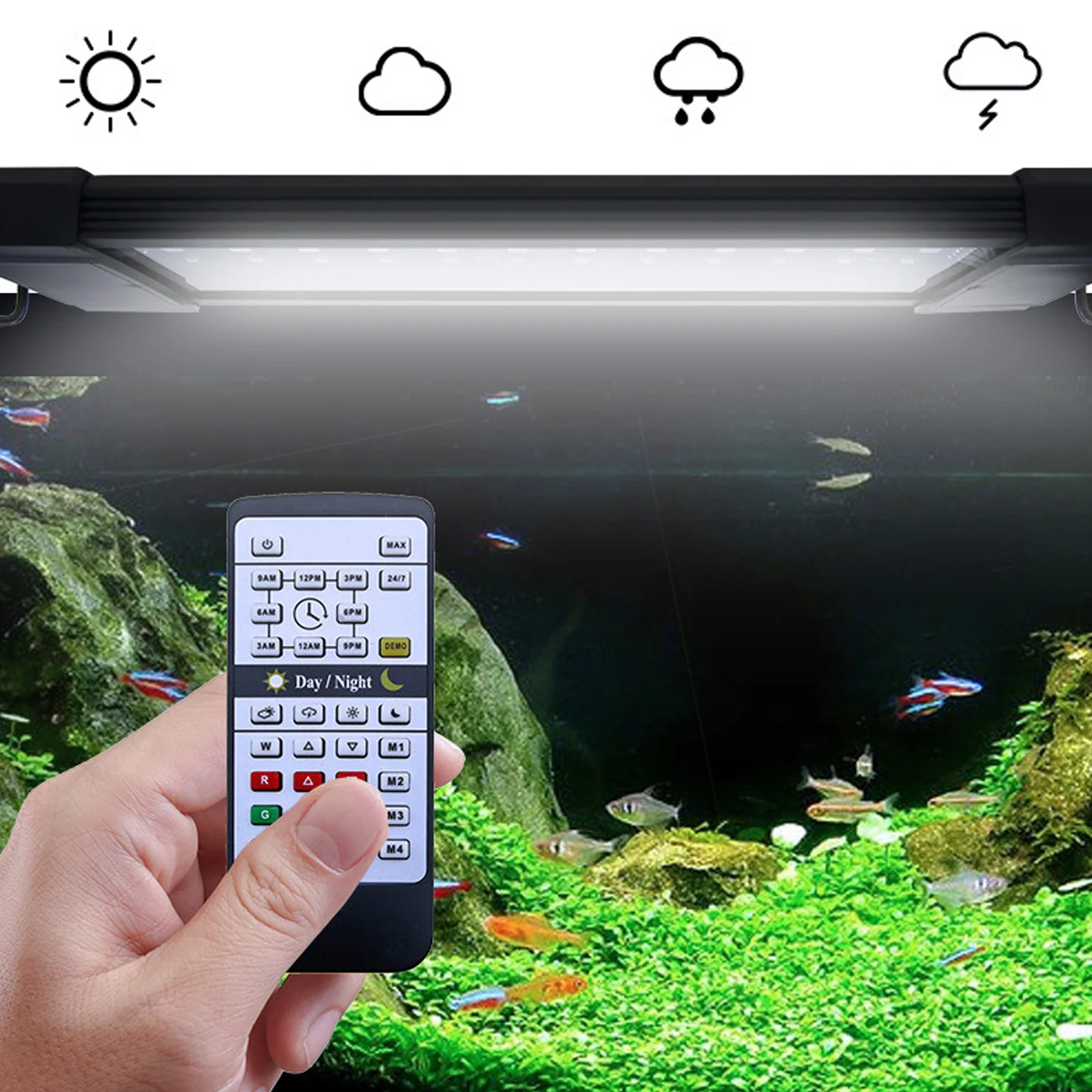 Planted Aquarium Hours - Liweida 24 Hours Natural Light Remote