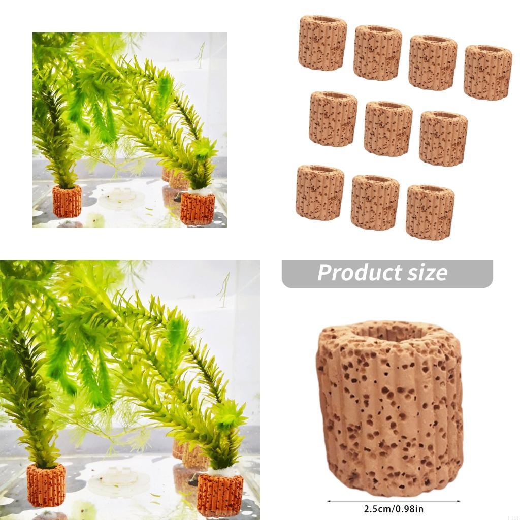 Emersed Plants Aquarium - F19B Paottery Aquariums Plant Holder Cultivation