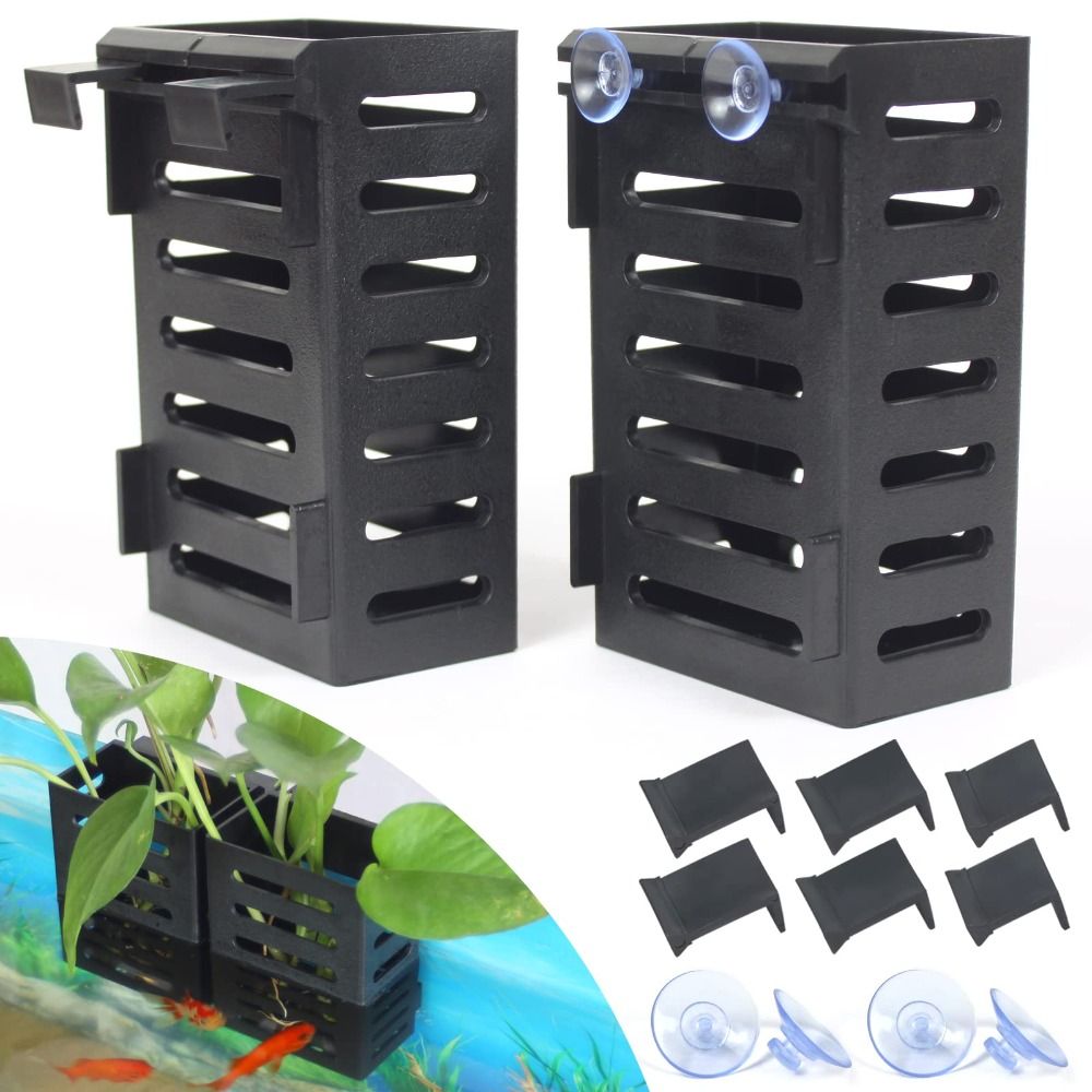 Water Plant Landscape Aquarium - Emersed Plants Aquarium 评论和价格