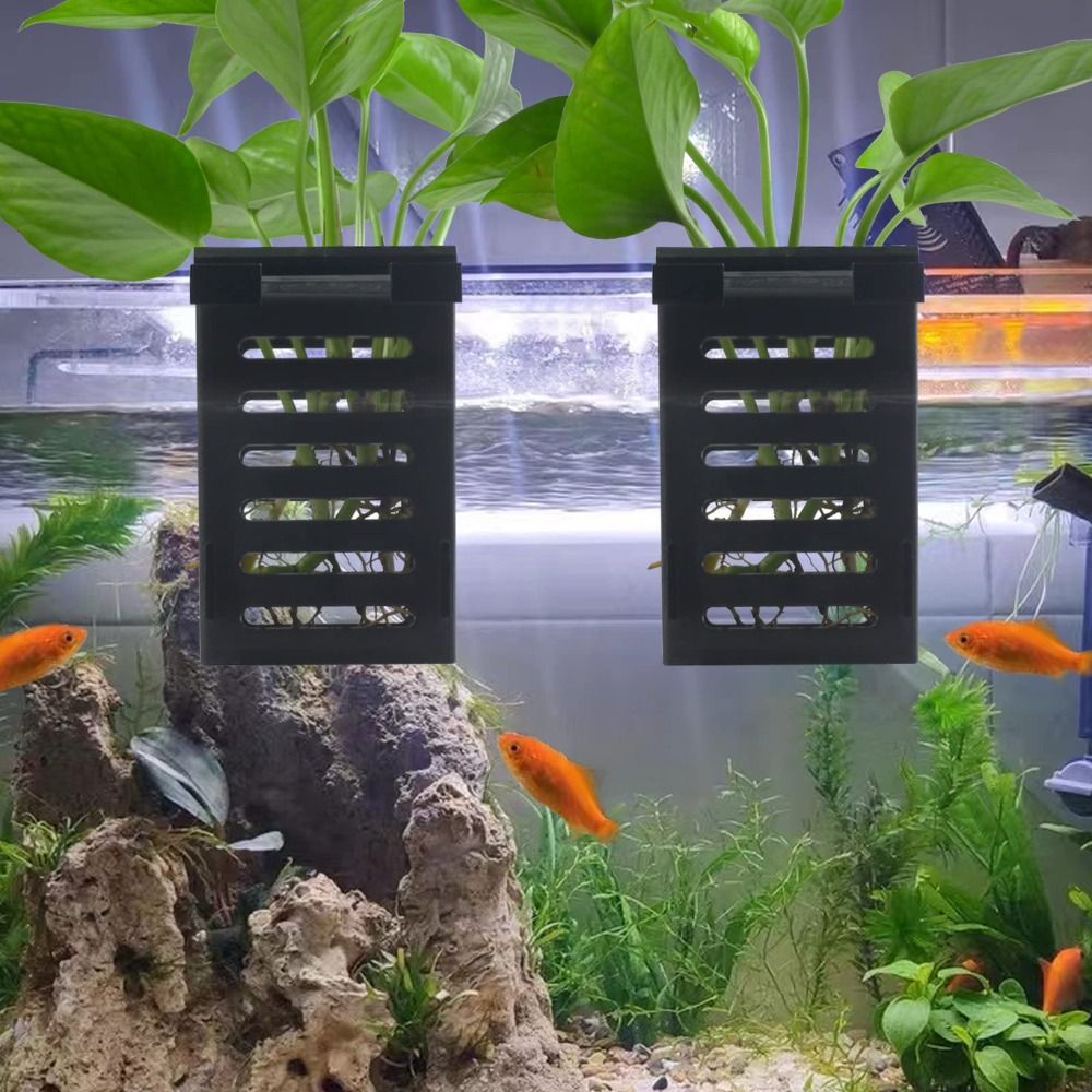 Water Plant Landscape Aquarium - Emersed Plants Aquarium 评论和价格