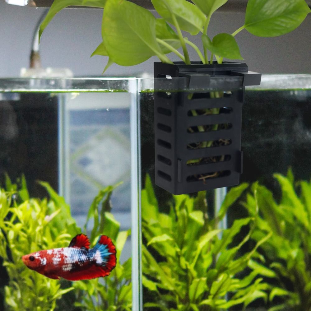 Water Plant Landscape Aquarium - Emersed Plants Aquarium 评论和价格