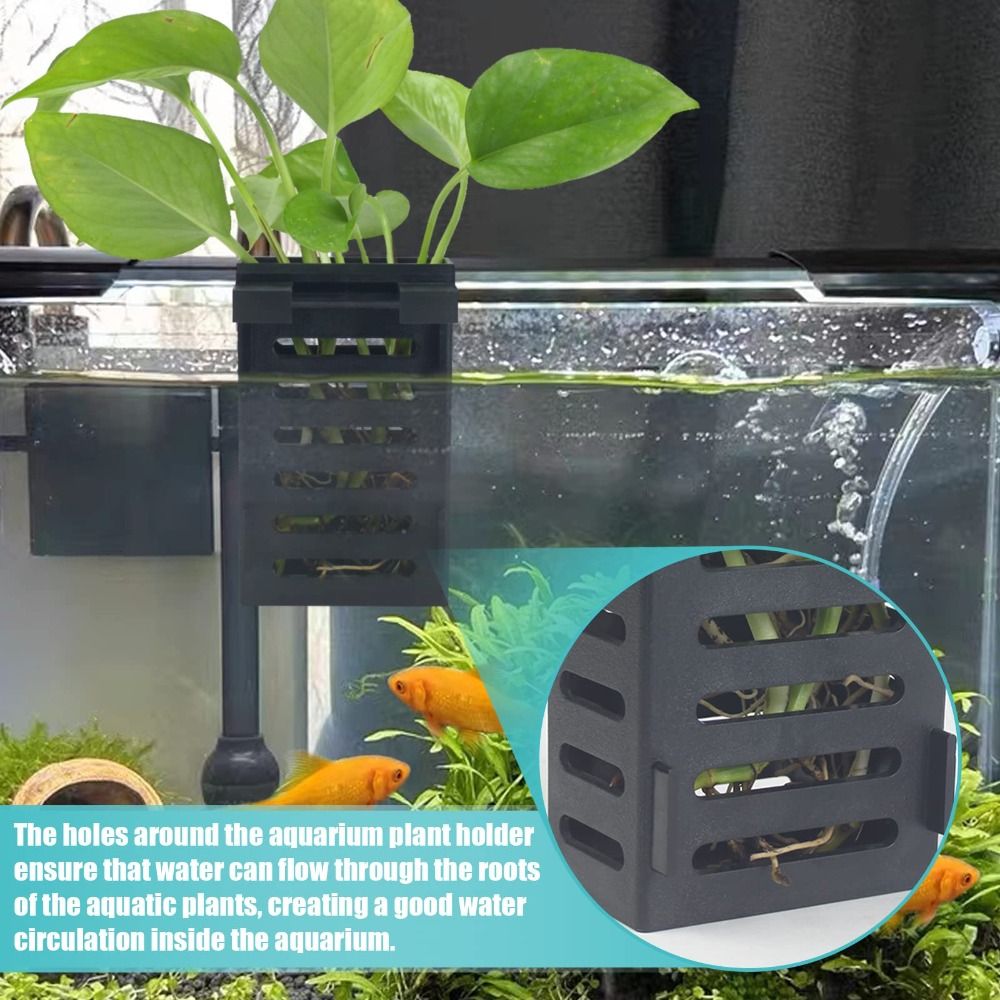 Aquarium Fish Tank Plant Holde - Emersed Plants Aquarium 评论和价格