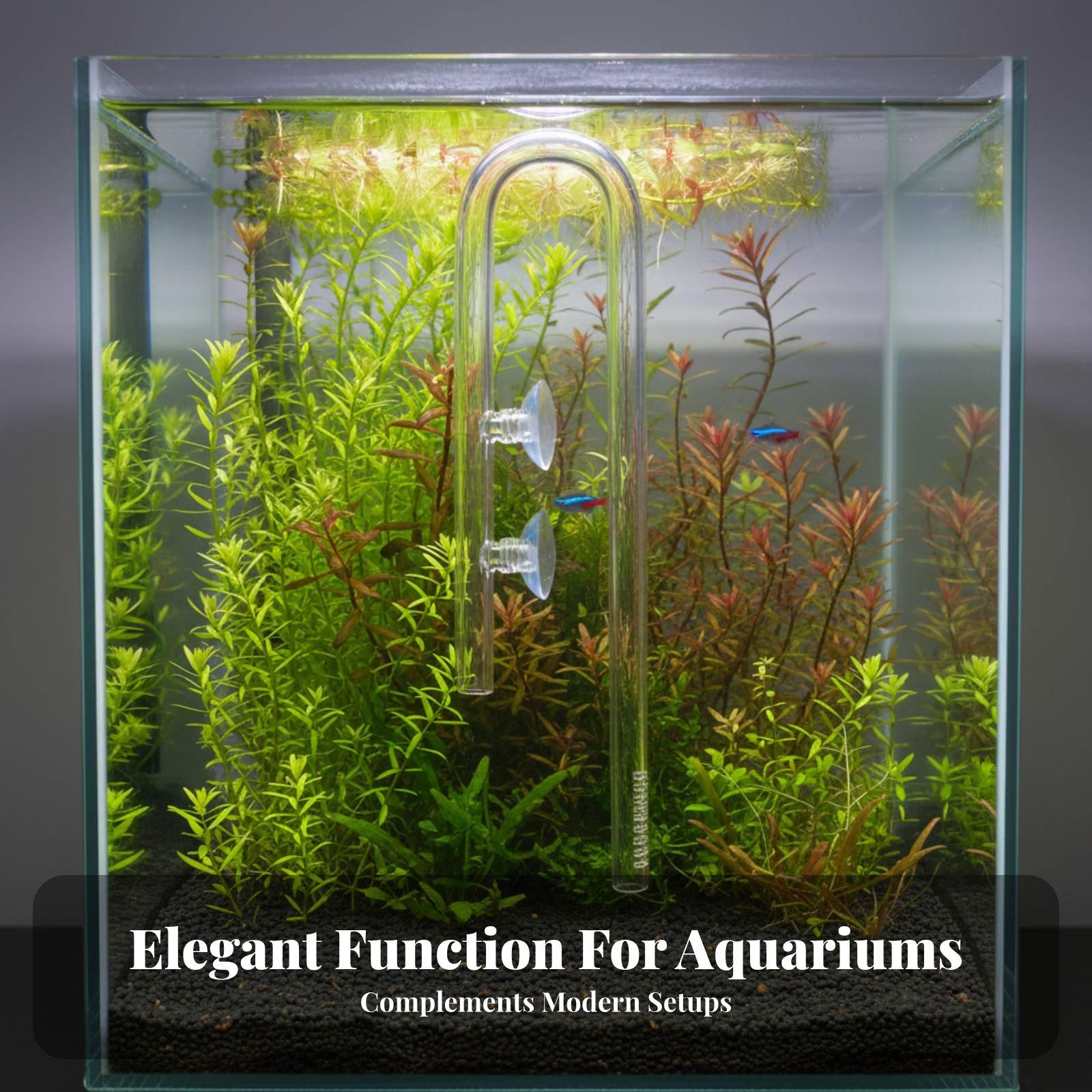 Elegant Aquatic Inflow Glass L - Aquarium Plant Nutrients 评论和价格