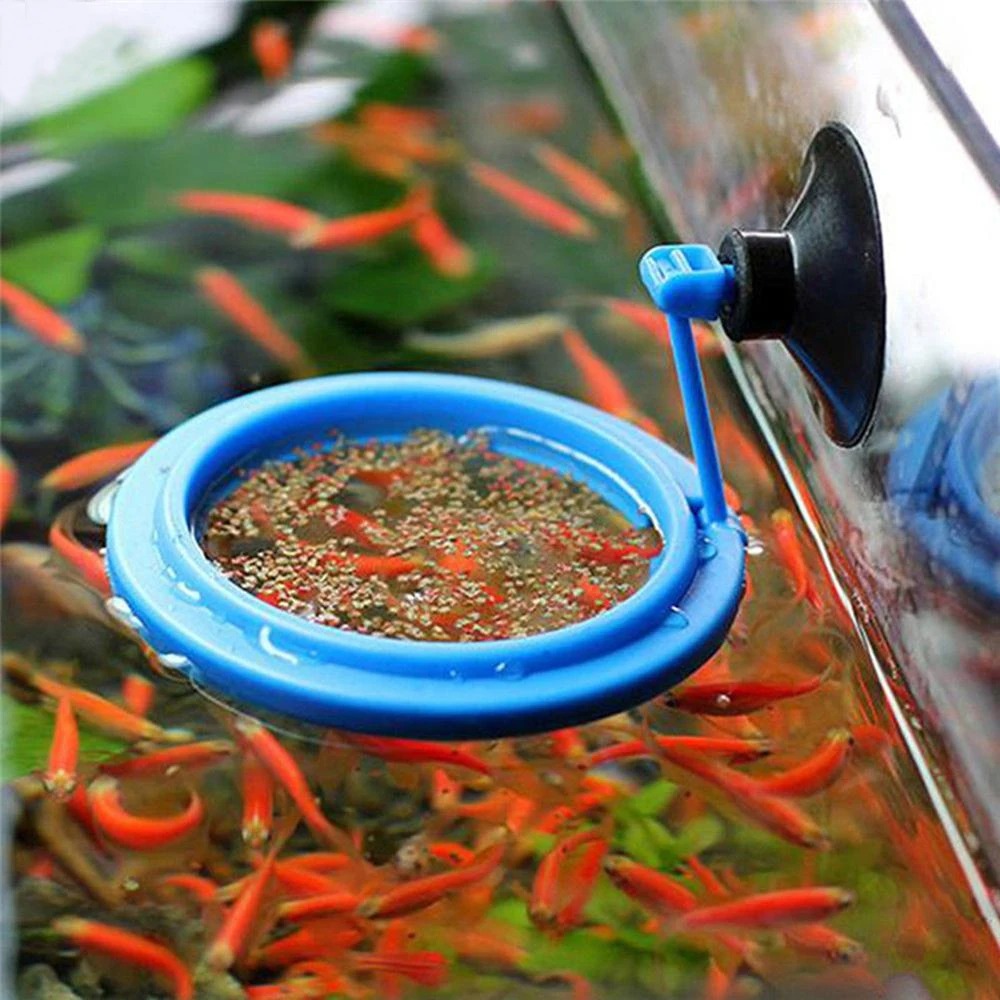 New Aquarium Feeding Ring Fish - Aquarium Plant Nutrients 评论和价格
