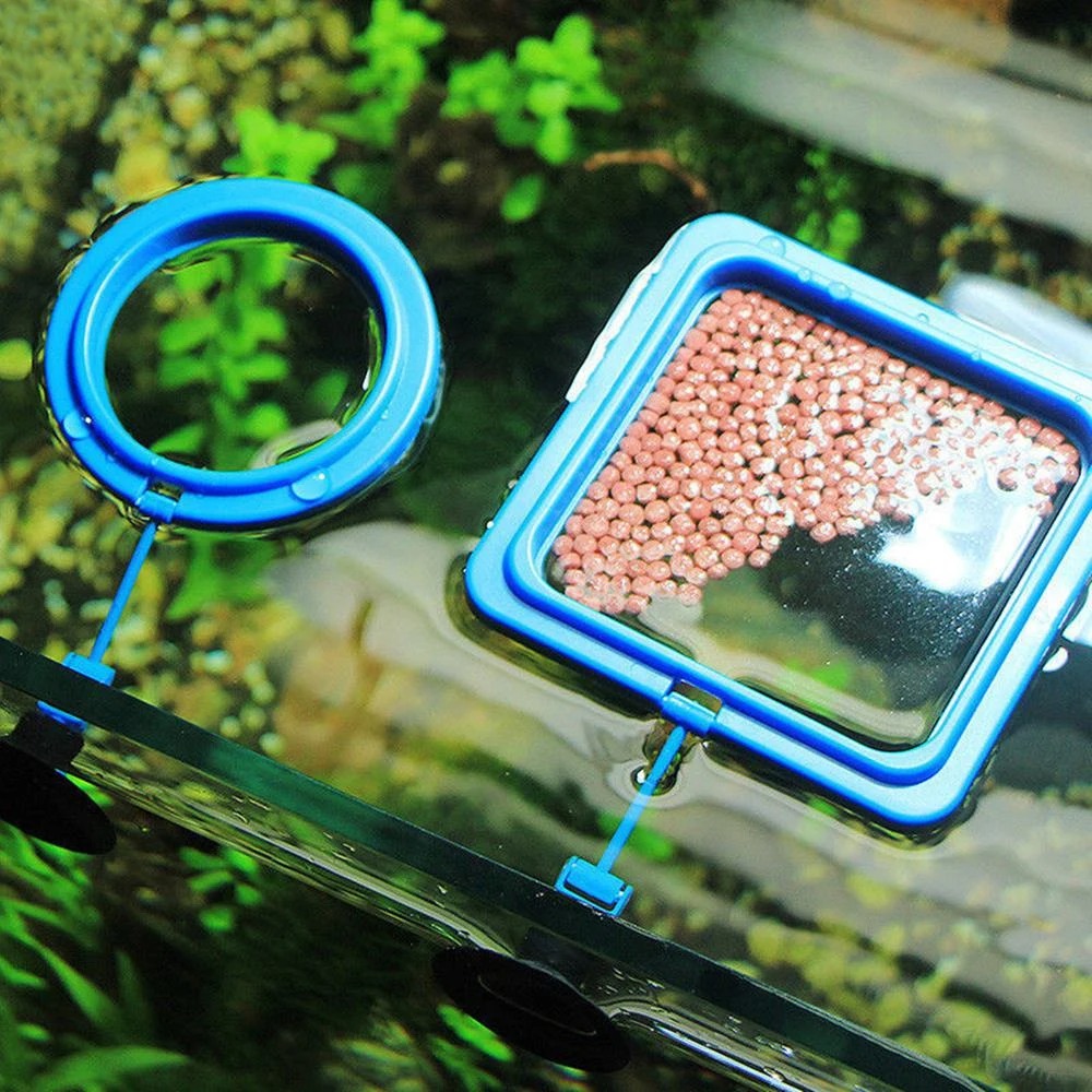 New Aquarium Feeding Ring Fish - Aquarium Plant Nutrients 评论和价格