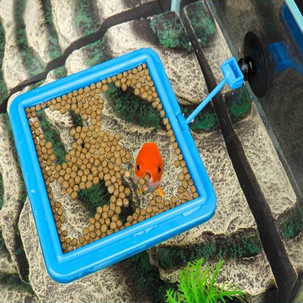 New Aquarium Feeding Ring Fish - Aquarium Plant Nutrients 评论和价格