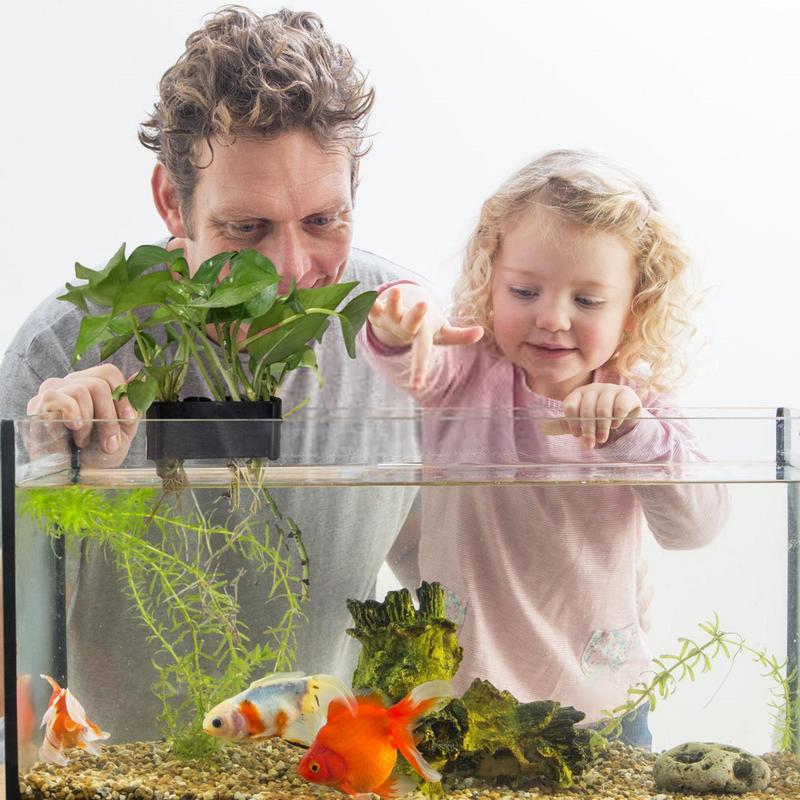 Hanging Aquarium Plant Holder  - Emersed Plants Aquarium 评论和价格