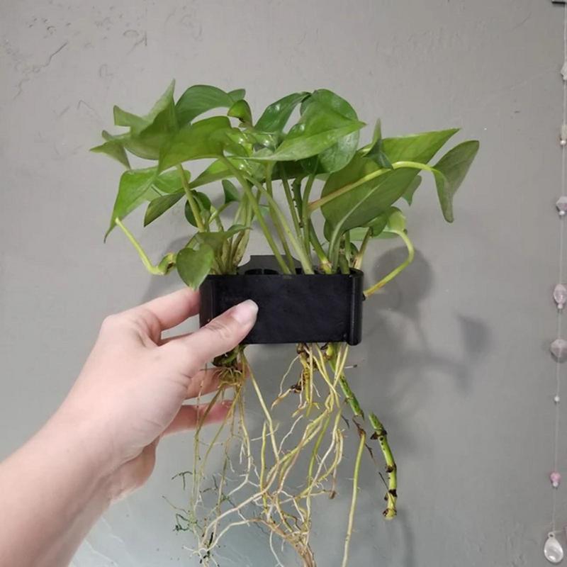 Hanging Aquarium Plant Holder  - Emersed Plants Aquarium 评论和价格