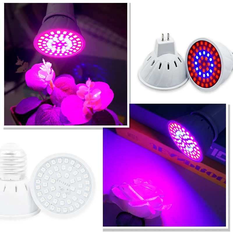 Phyto Lamp Full Spectrum LED G - Led Planted Tank Light 评论和价格