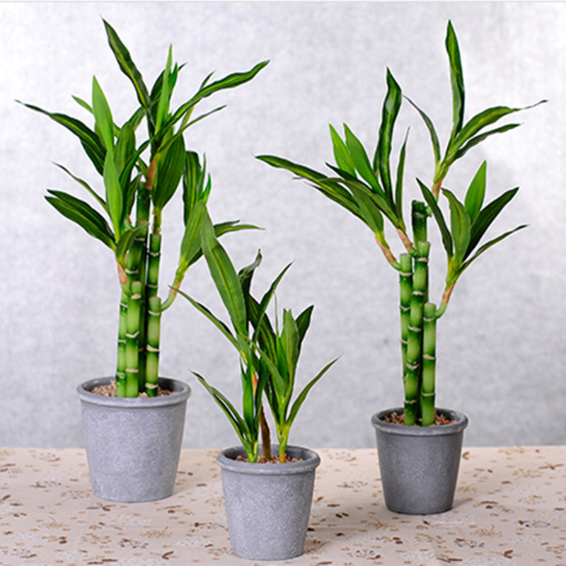 New 40cm rFtificial Lucky Bamb - Aquarium Plants Book 评论和价格