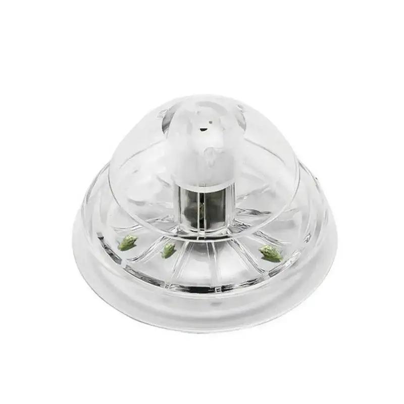 2026 New 6/8CM Clear Plastic S - Planted Aquarium Cleaning 评论和价格