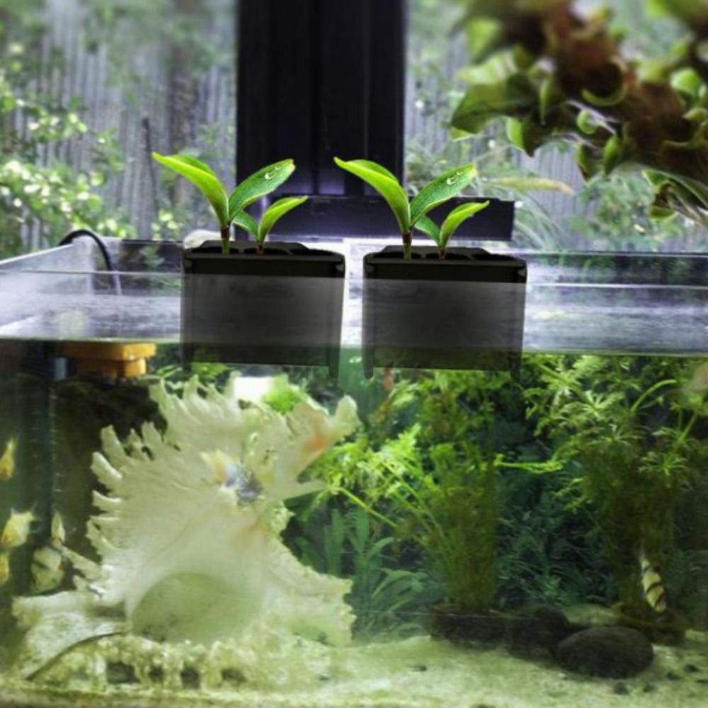With Integrated Hook Aquarium  - Emersed Plants Aquarium 评论和价格