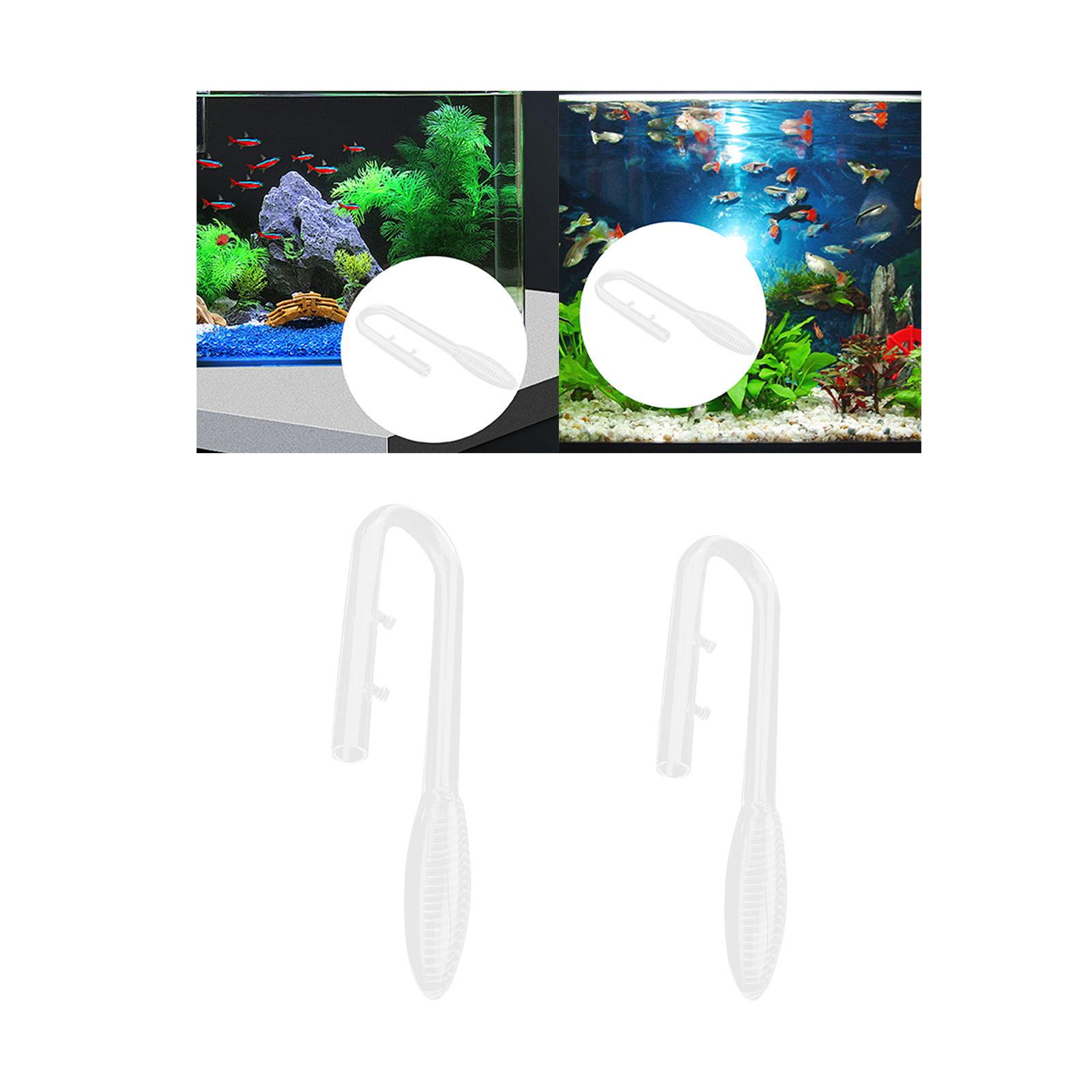 Violet Glass Inflow Pipe Inflo - Aquarium Plant Violet 评论和价格