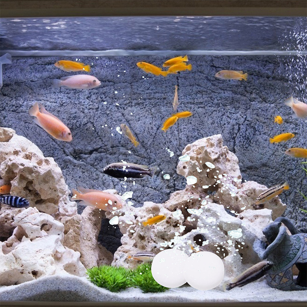 3 Bags Co2 Tablets Effective B - Aquarium Plant Nutrients 评论和价格