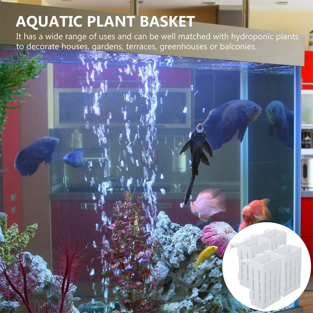 4Pcs Aquatic Plant Holder Hang - Aquarium Plant Nutrients 评论和价格