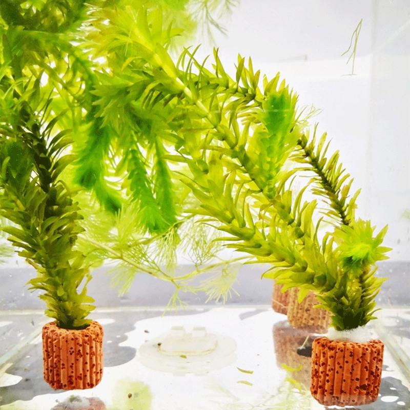 QX2E Paottery Aquariums Plant  - Emersed Plants Aquarium 评论和价格