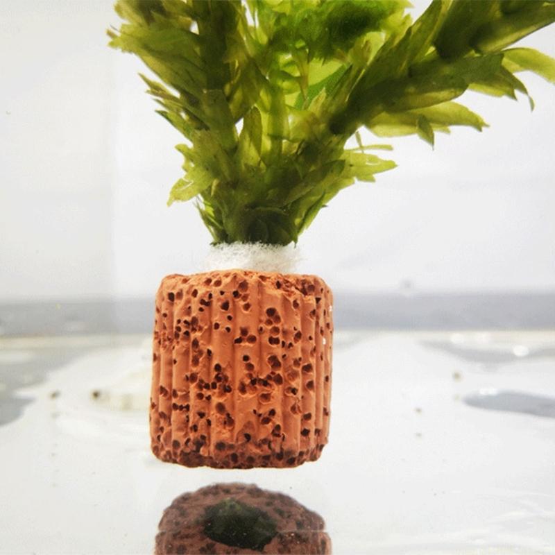 QX2E Paottery Aquariums Plant  - Emersed Plants Aquarium 评论和价格