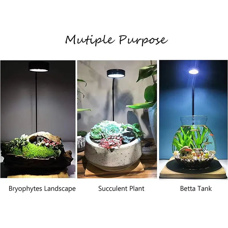 Full Spectrum LED Light with B - Planted Aquarium Hours 评论和价格