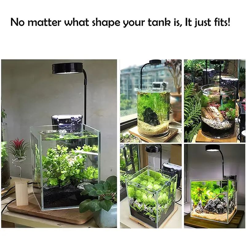 Full Spectrum LED Light with B - Planted Aquarium Hours 评论和价格