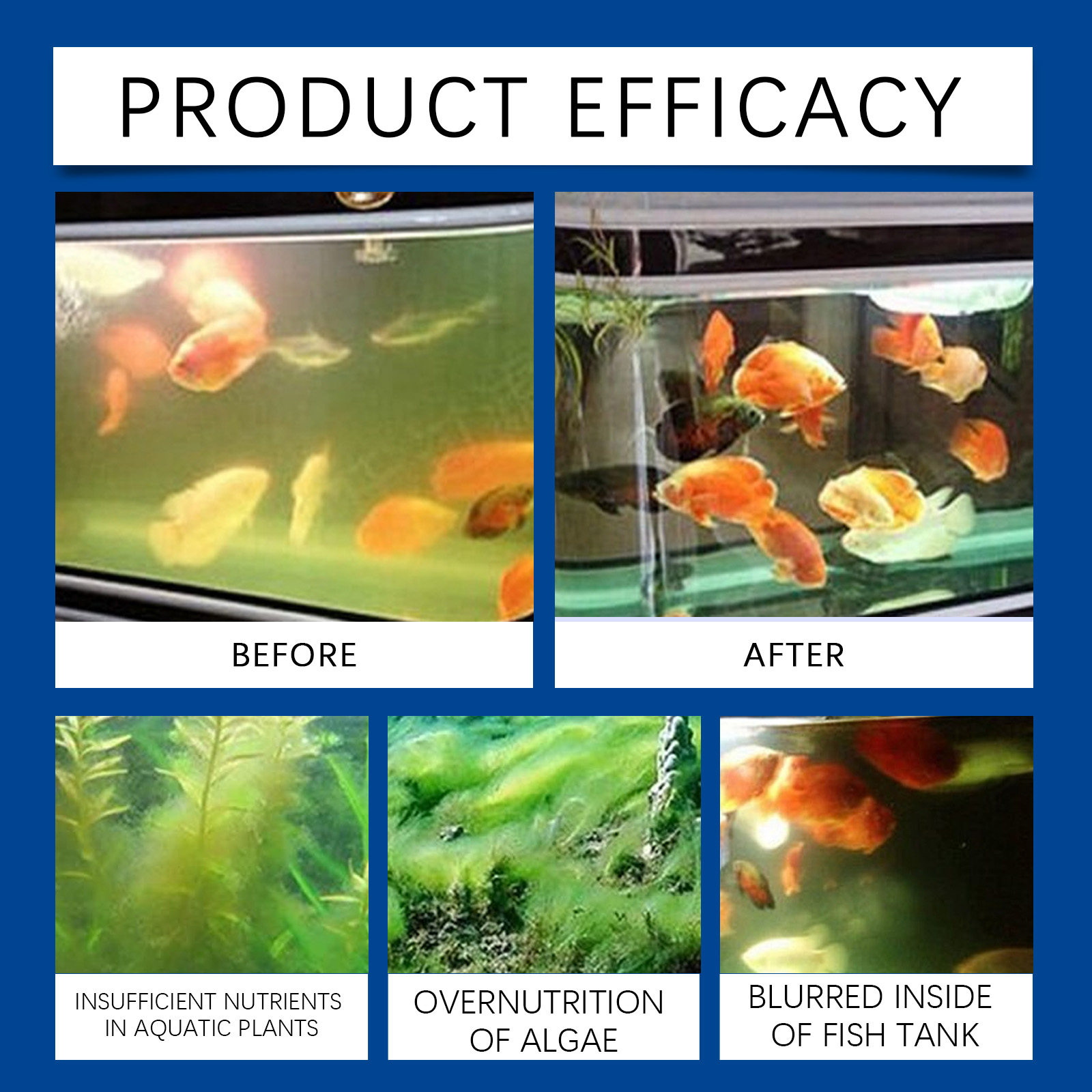 Aquarium Water Clarifier 100ml - Planted Aquarium Cleaning 评论和价格