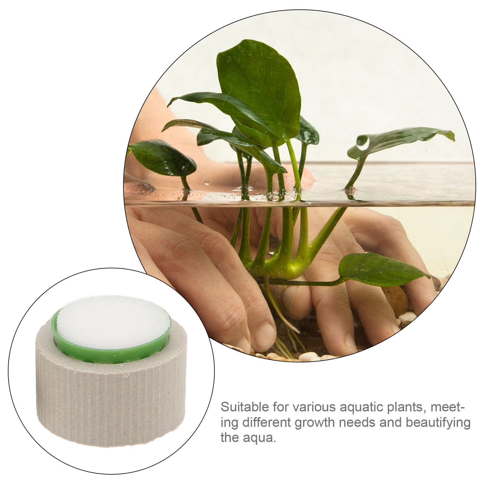 9Pcs Premium Ceramic Aquatic P - Aquarium Plant Nutrients 评论和价格