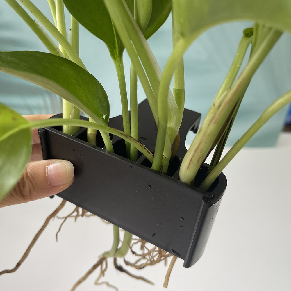 Hanging Aquarium Plant Holder  - Emersed Plants Aquarium 评论和价格