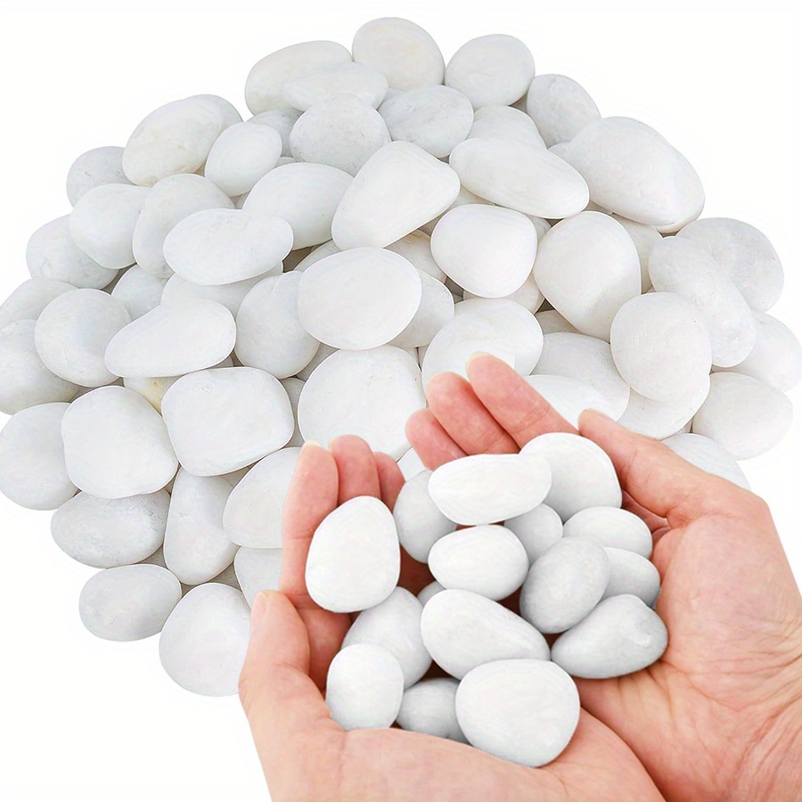 200/400g White High Polished N - Aquarium Plants Book 评论和价格
