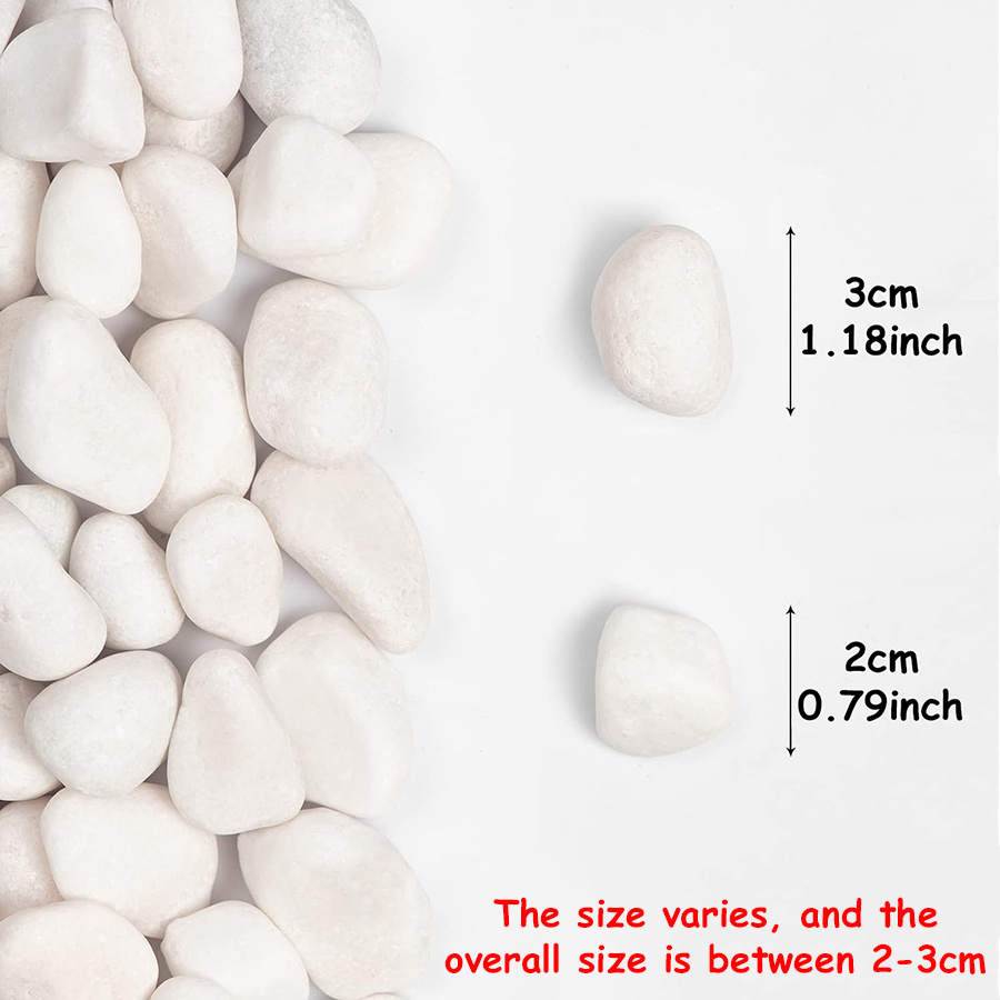 200/400g White High Polished N - Aquarium Plants Book 评论和价格