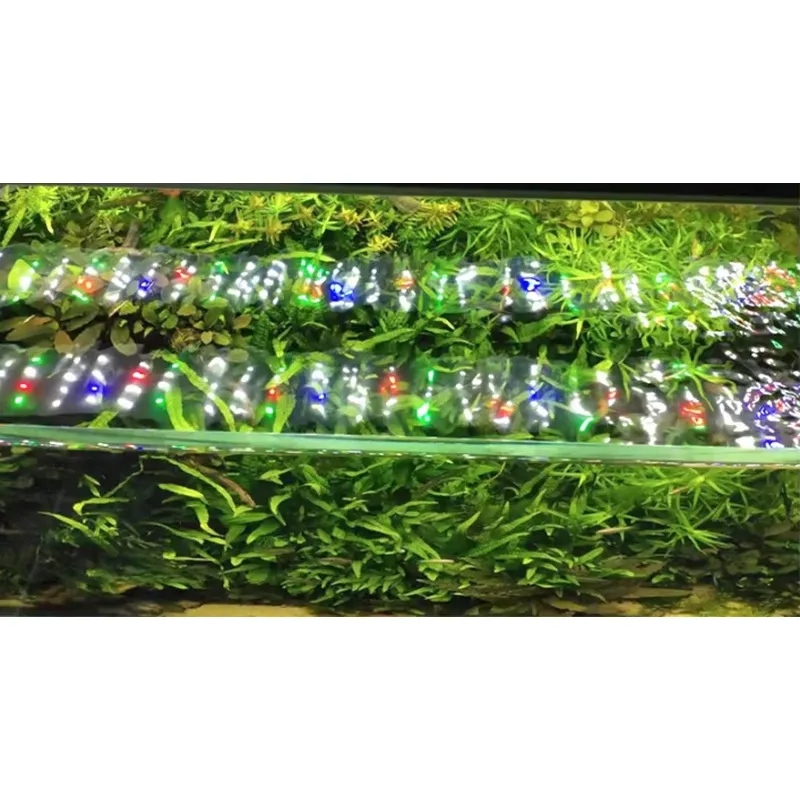 RGB Full Spectrum Silver Touch - Planted Aquarium Hours 评论和价格
