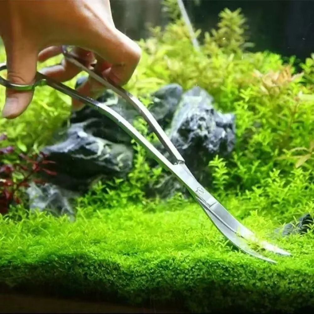 1Pcs Stainless Steel Aquarium  - Planted Aquarium Cleaning 评论和价格
