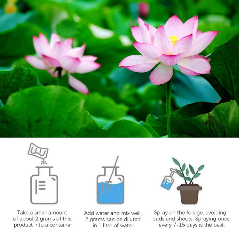 200g Natural Water Lily Flower - Aquarium Plant Nutrients 评论和价格
