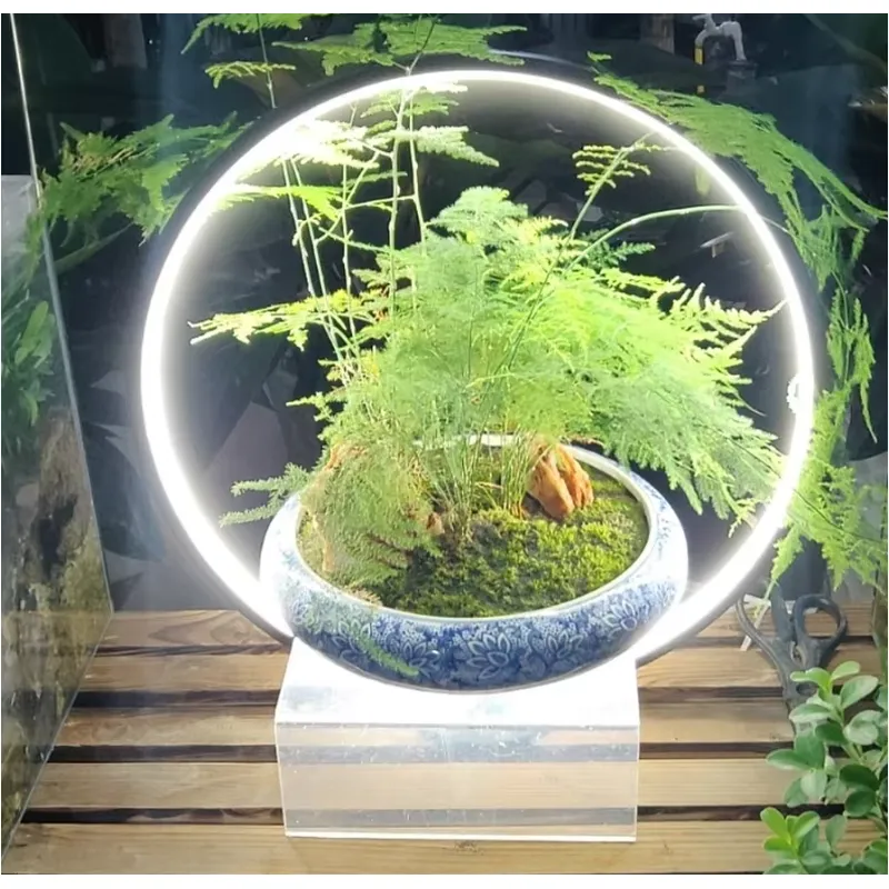Desktop LED Aquarium Lamp for  - Planted Aquarium Hours 评论和价格