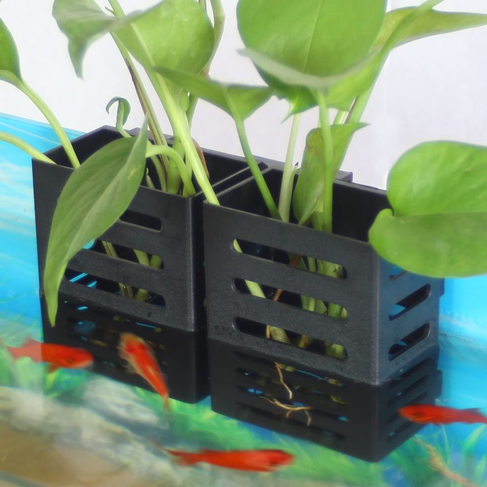 Water Plant Landscape Aquarium - Emersed Plants Aquarium 评论和价格