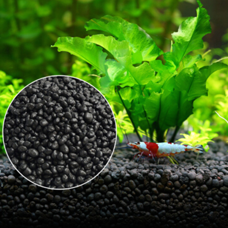 Aquarium Plant Seeds Soil Fish - Aquarium Plants Book 评论和价格