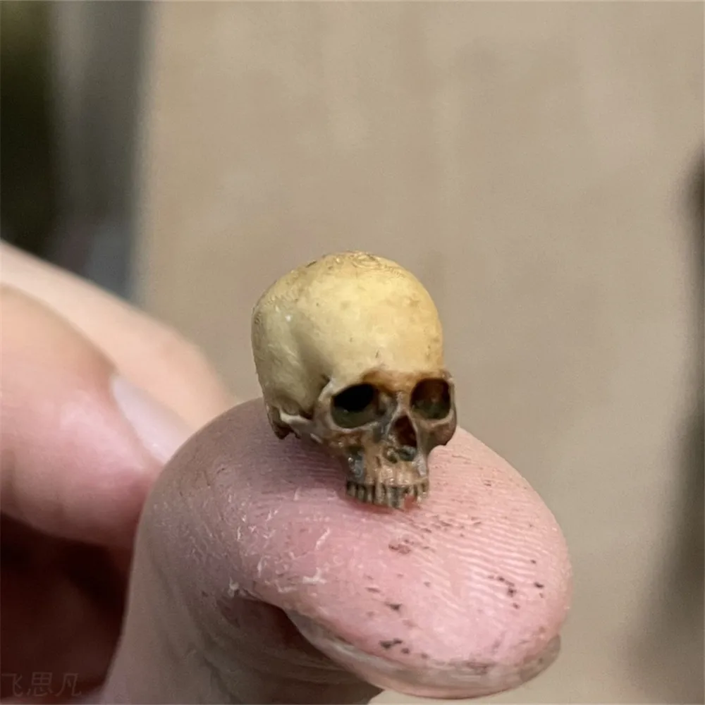 Mini Skull High Quality Miniat - Aquarium Plants Book 评论和价格