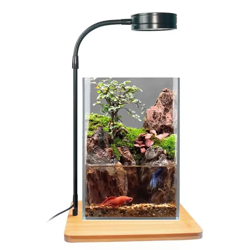 Desktop Decoration Timing Fish - Planted Aquarium Hours 评论和价格