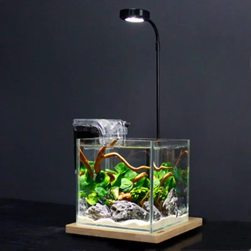 Desktop Decoration Timing Fish - Planted Aquarium Hours 评论和价格