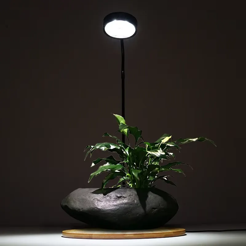 Desktop Decoration Timing Fish - Planted Aquarium Hours 评论和价格
