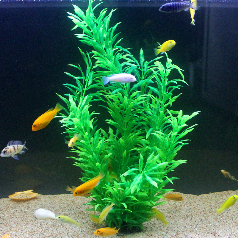 50CM Artificial Fish Tank Rare - Aquarium Plants Book 评论和价格