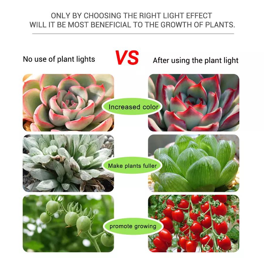 Grow Light Grow LED Strips 5V  - Planted Aquarium Hours 评论和价格