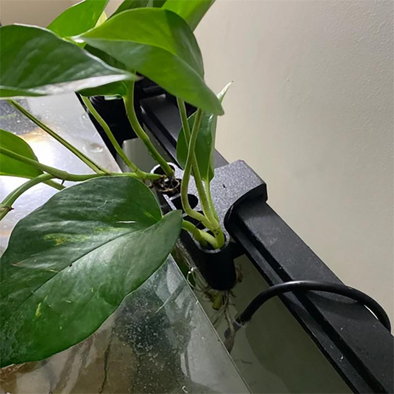 Hanging Aquarium Plant Holder  - Emersed Plants Aquarium 评论和价格