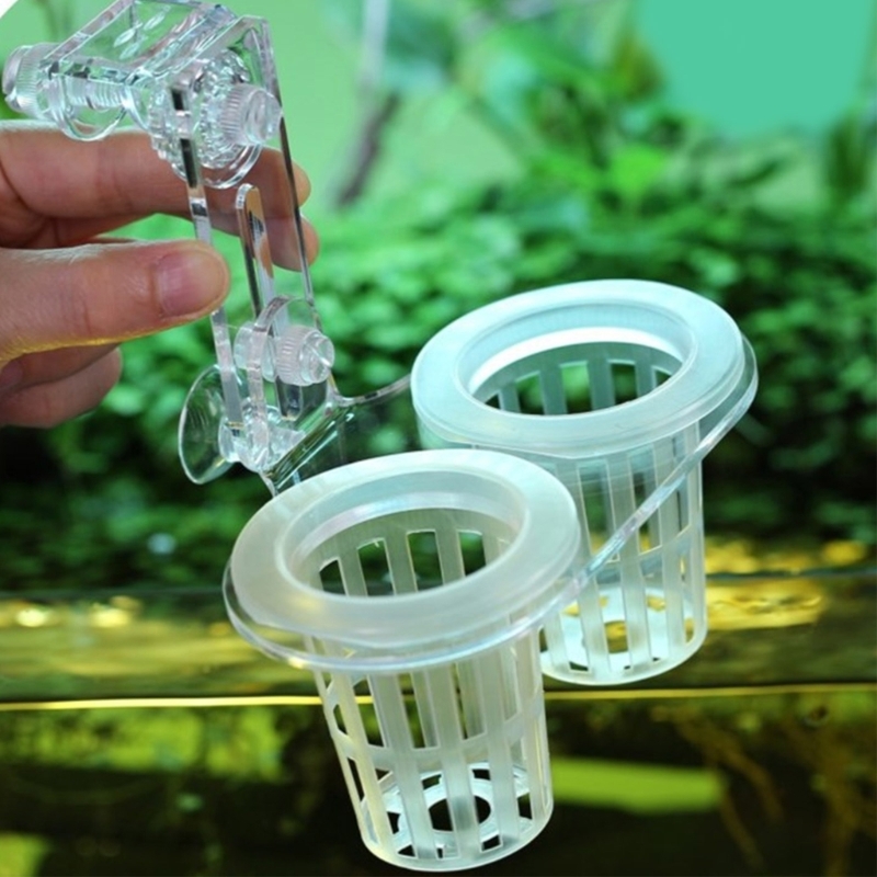 Aquariums Plant Stand Plant Cu - Emersed Plants Aquarium 评论和价格
