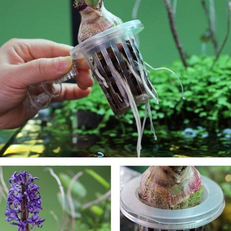 Aquariums Plant Stand Plant Cu - Emersed Plants Aquarium 评论和价格
