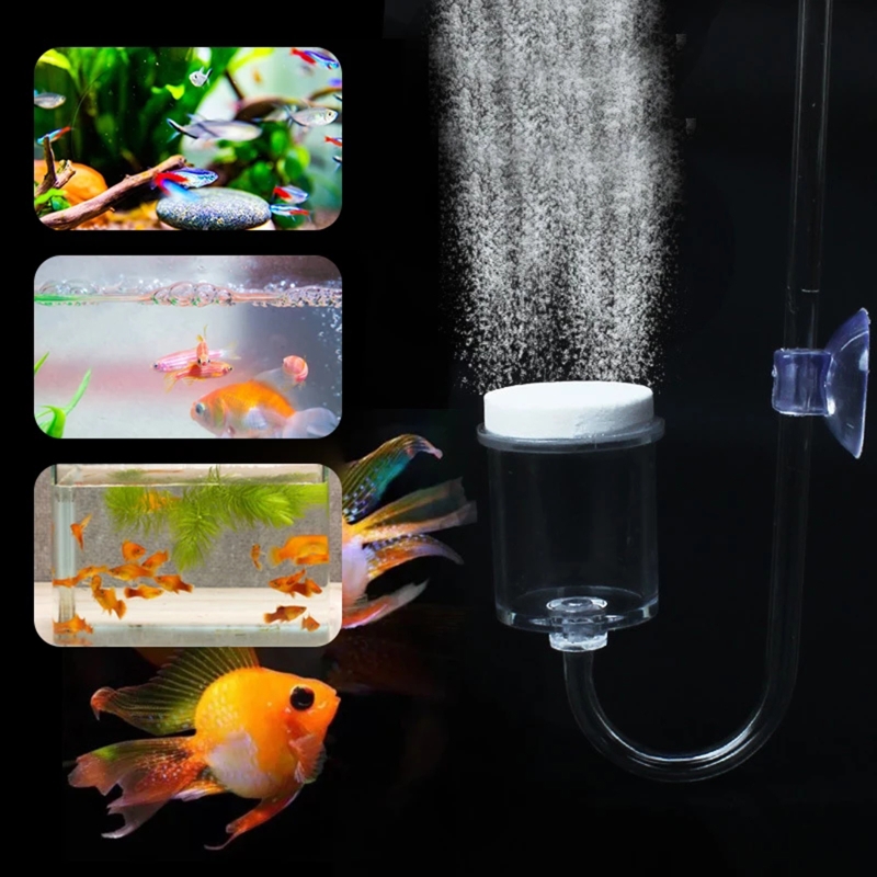 4pcs Set DIY CO2 Diffuser For  - Aquarium Plants Book 评论和价格