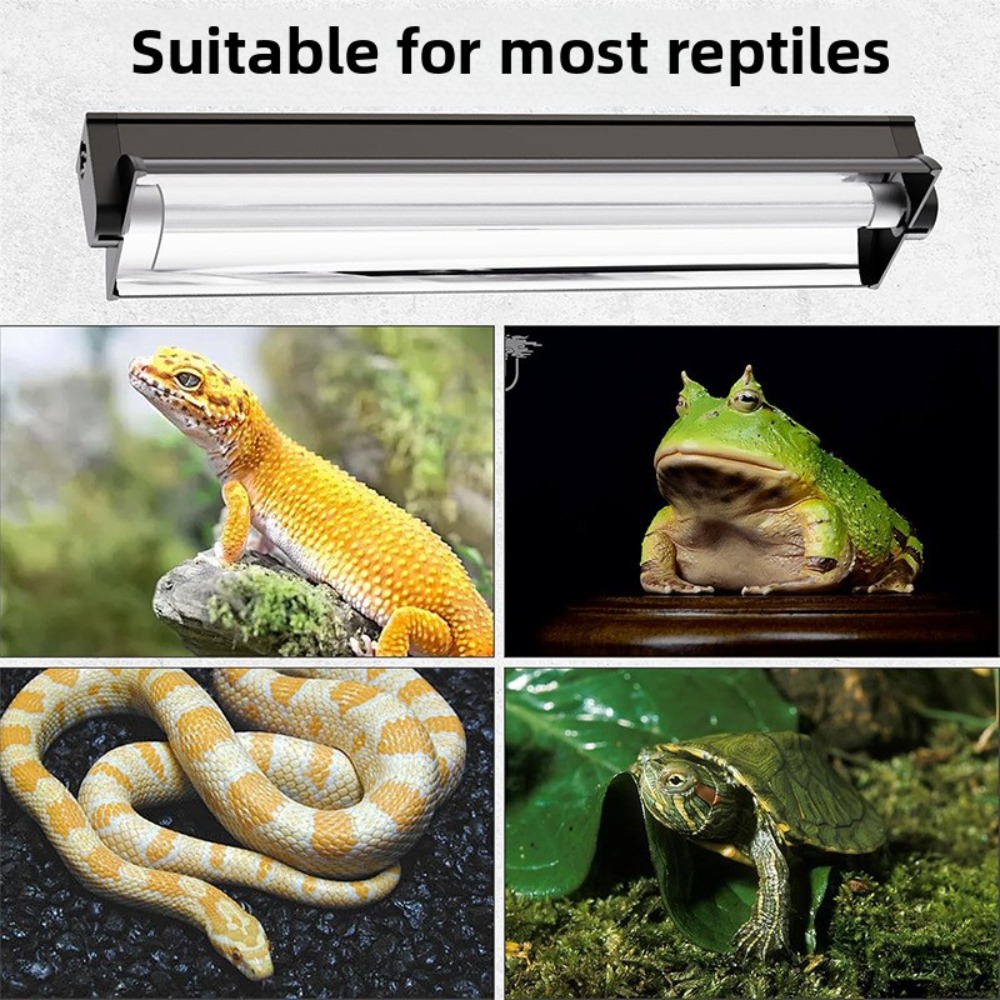 Planted and Reptile Terrarium  - Led Planted Tank Light 评论和价格