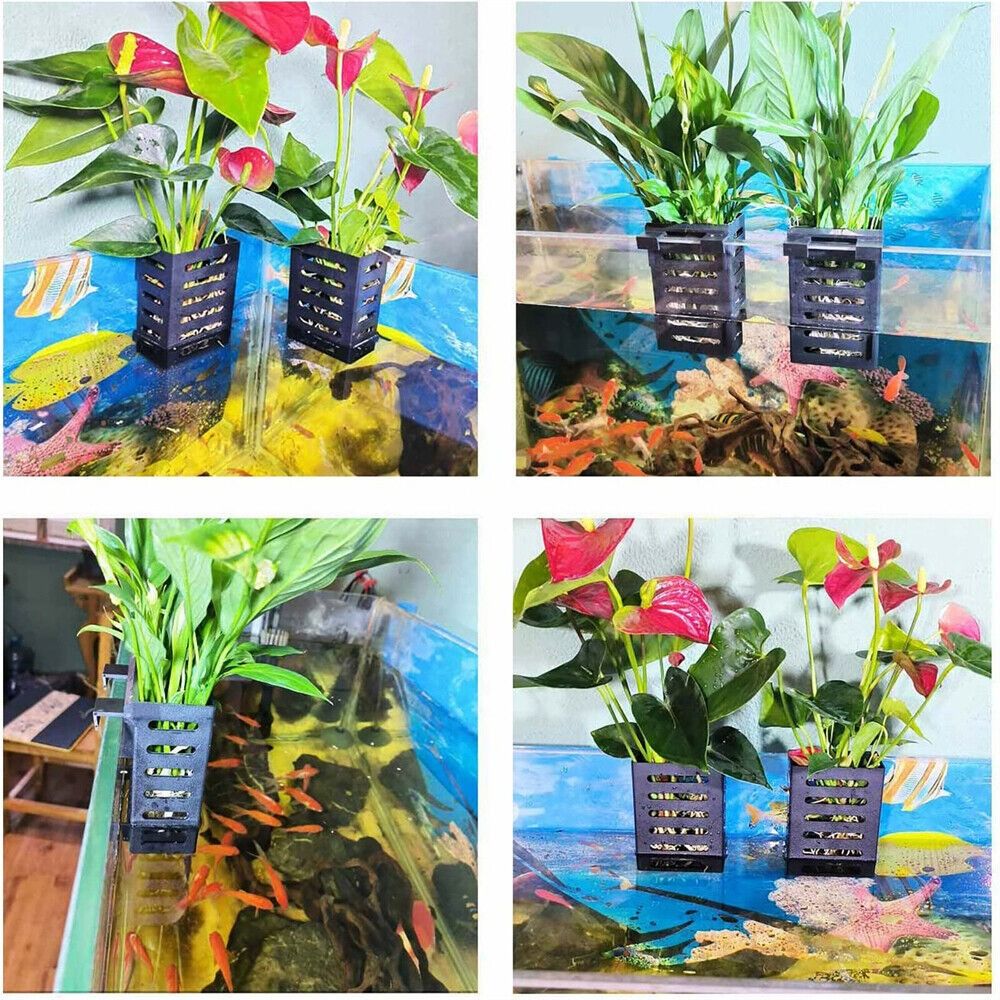 Water Plant Landscape Aquarium - Emersed Plants Aquarium 评论和价格