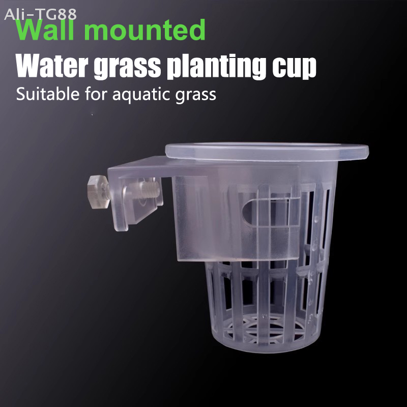 Hanging Aquarium Plant Holder  - Emersed Plants Aquarium 评论和价格