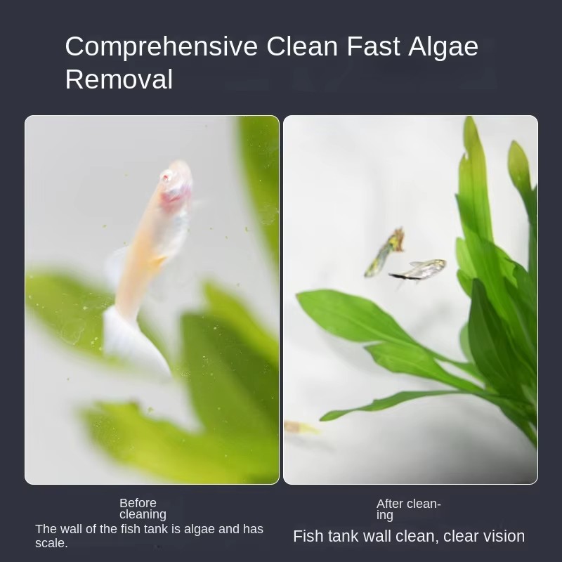 Mini square magnetic brush, st - Planted Aquarium Cleaning 评论和价格